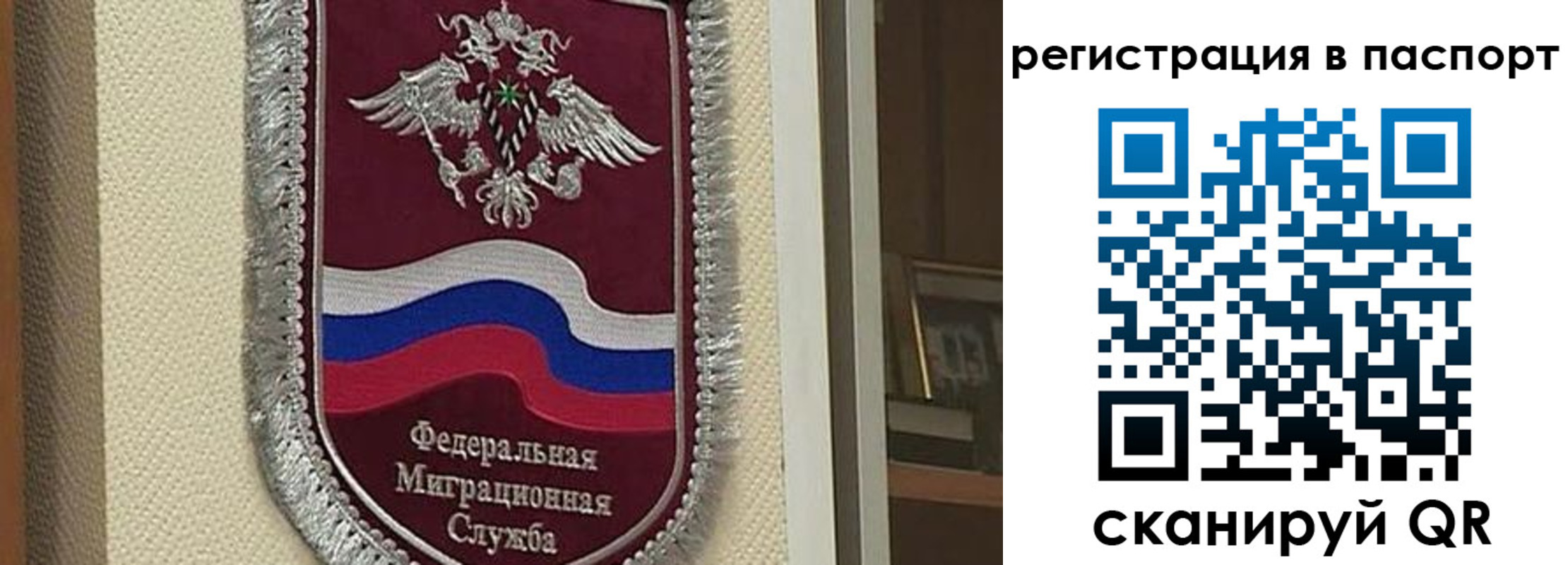 прописка законно в Новодвинске